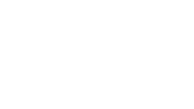 TDI logo